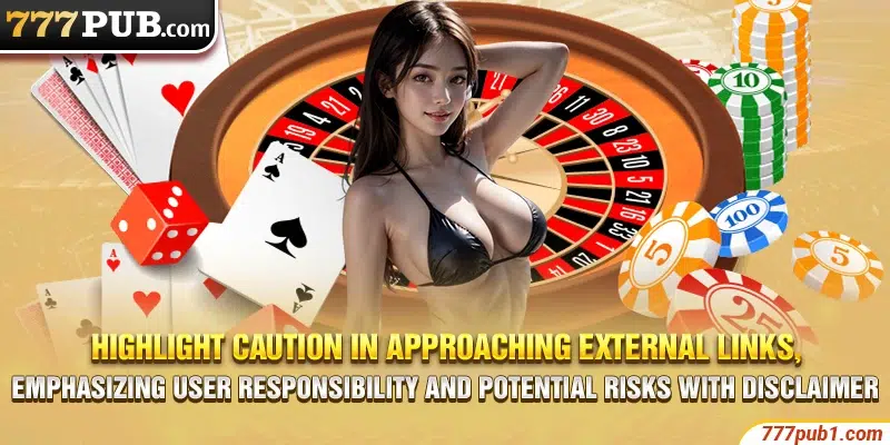 Highlight caution in approaching external links, emphasizing user responsibility and potential risks with disclaimer