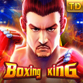 Rei do Boxe